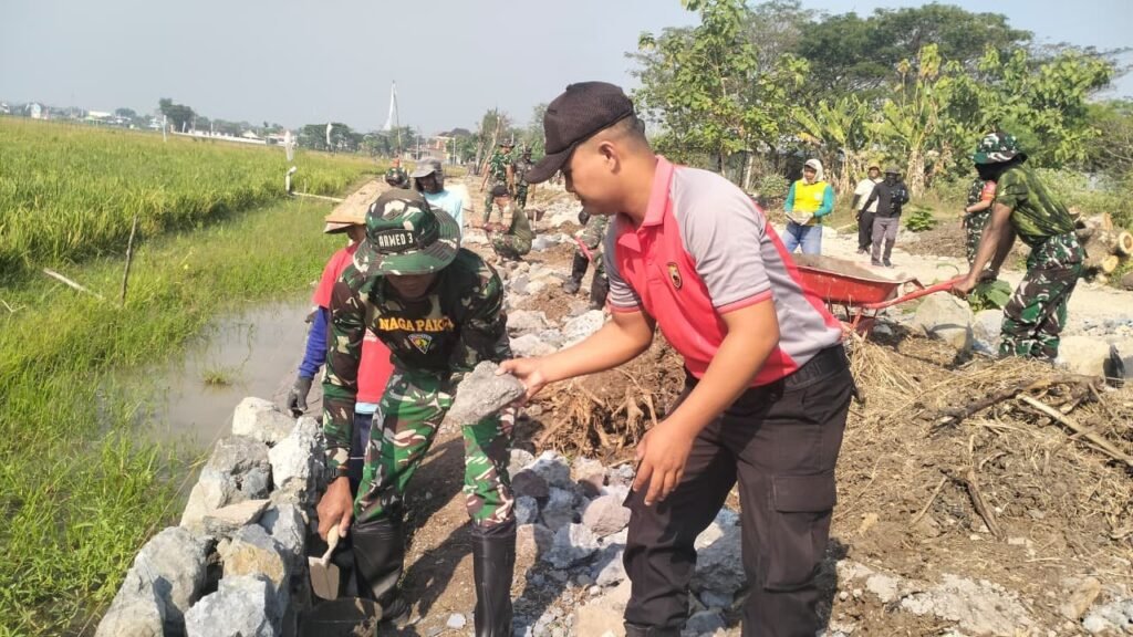 gambar-46