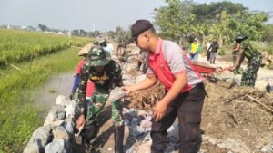 gambar-46
