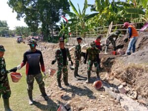 gambar-462