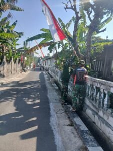 gambar-504
