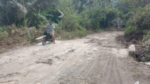 gambar-1067
