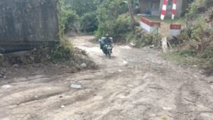 gambar-1069