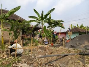 gambar-235