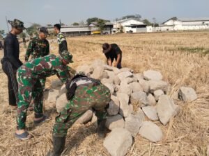gambar-239