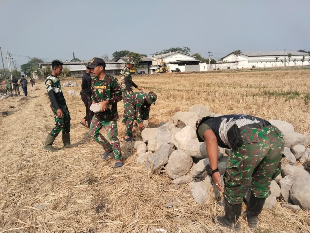 gambar-241