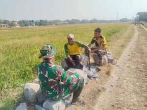gambar-248