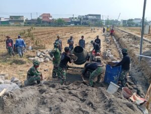 gambar-538